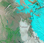 MODIS reflectance image of Iraq
