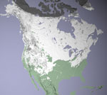 MODIS reflectance image of North America