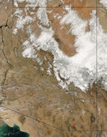 MODIS reflectance image of Arizona