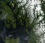 MODIS reflectance image of snow in British Columbia