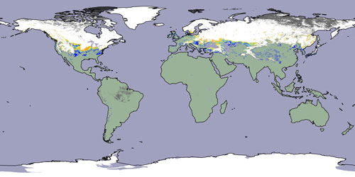 MOD10C2 Global Map