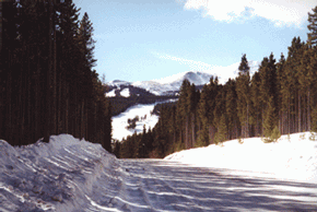 picture of Colorado snow scene