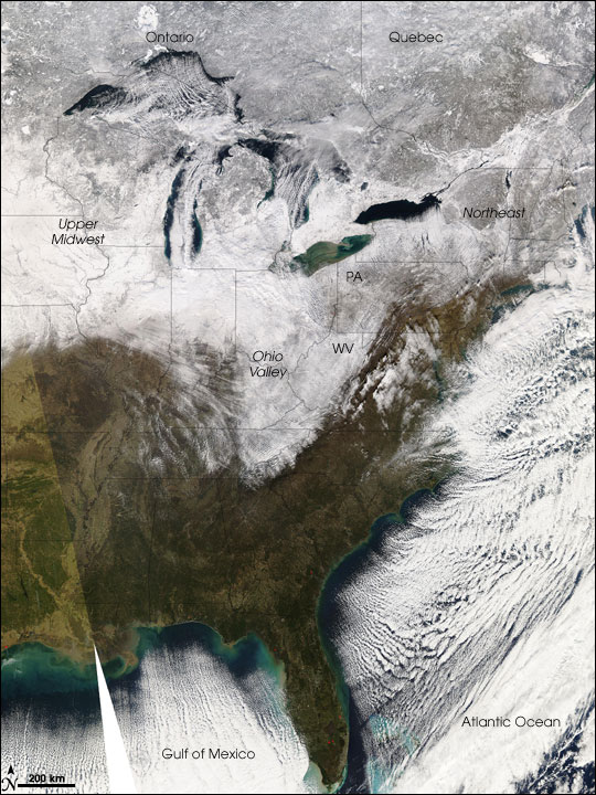 MODIS image of the United States