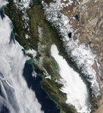 MODIS reflectance image of California