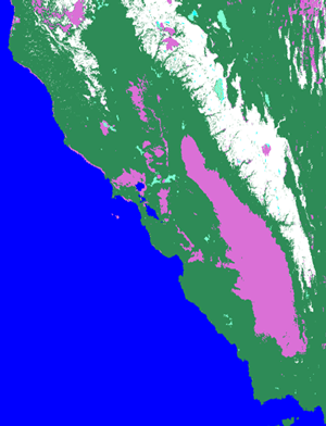 MODIS snow map of California