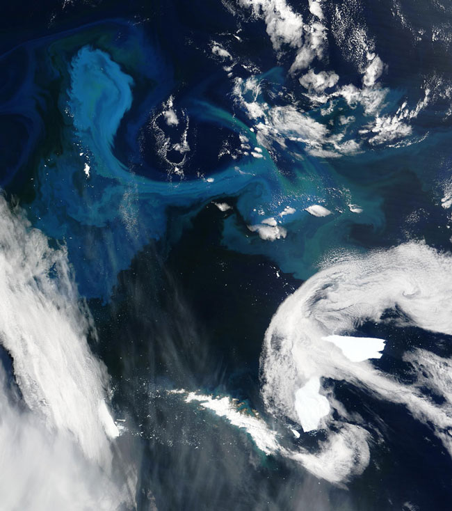 MODIS image of South Georgia Island