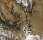 MODIS reflectance image of New Mexico