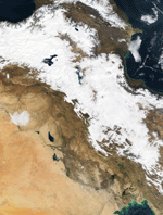 MODIS reflectance image of the Middle East