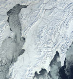MODIS reflectance image of Russia