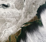 MODIS reflectance image of the United States