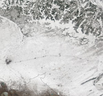 MODIS reflectance image of Central Asia