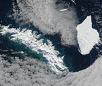 MODIS reflectance image of the a iceberg off the coast of South Georgia Island
