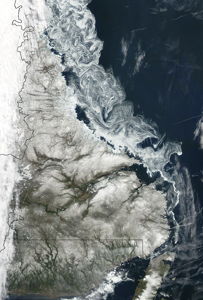 MODIS image of Labrador, Newfoundland