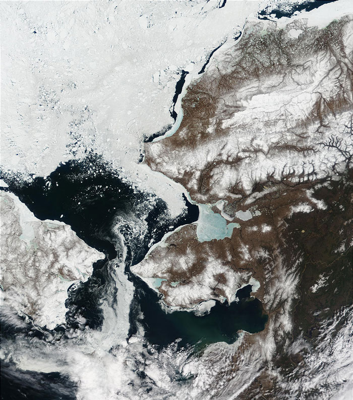 MODIS image of the Bering Strait