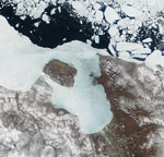MODIS reflectance image of the coast of the East Siberian Sea, Russia