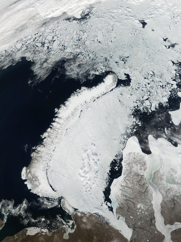 MODIS false color image of Russia