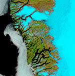 MODIS image of Greenland