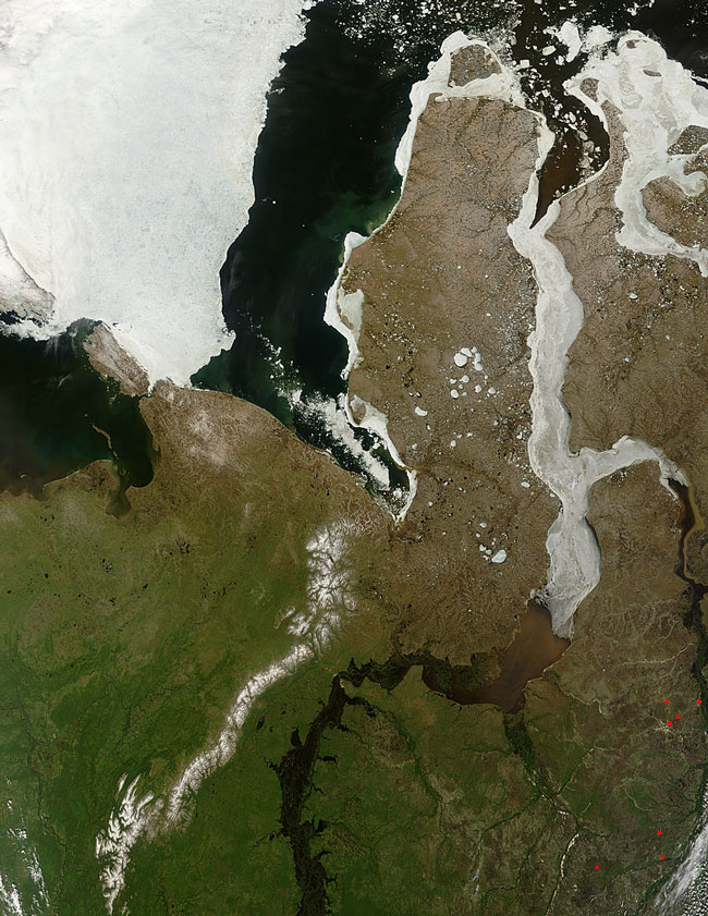 MODIS image of the Ob River