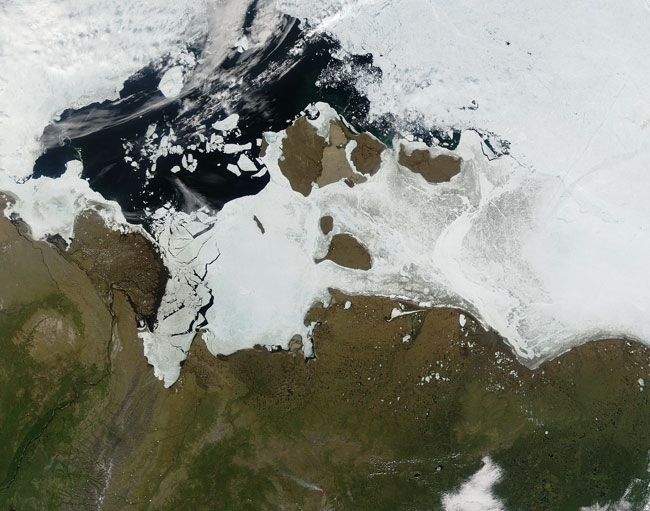 MODIS image of Siberia