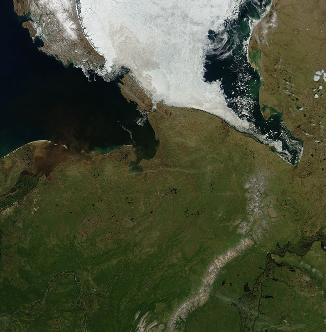 MODIS image of Northeastern Russia