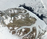 MODIS reflectance image of Greenland