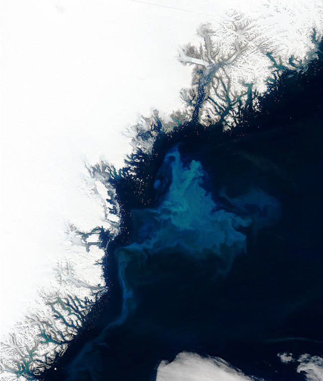 MODIS image of Northern Russia
