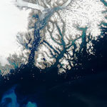 MODIS reflectance image of Greenland