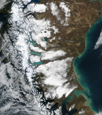 MODIS reflectance image of South America