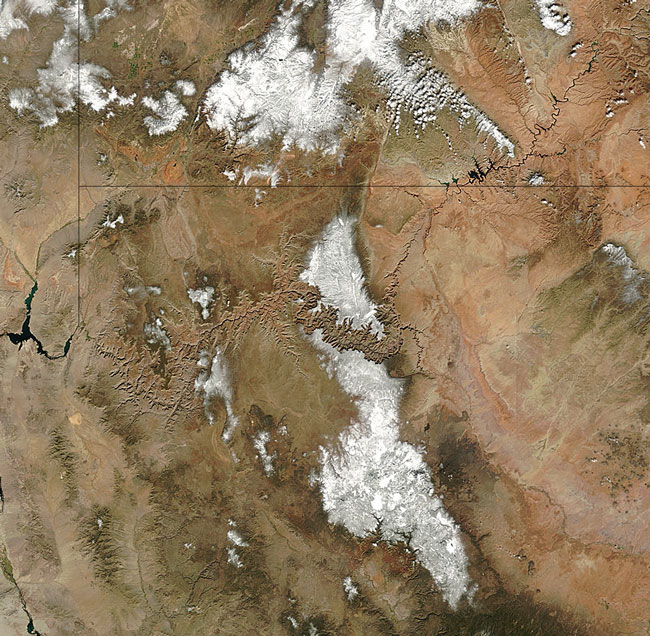 MODIS image of Arizona