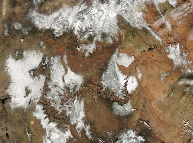 MODIS image of the Western US