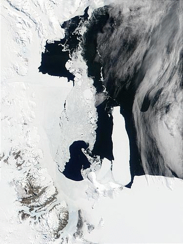MODIS animation of Antarctica