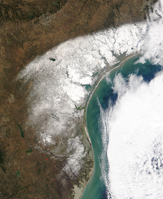 MODIS image of Texas