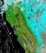 MODIS reflectance image of the Western United States